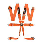 LTEC Magnum 6-Point FIA Harness
