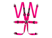 LTEC HANS Ultralite 6-Point Harness