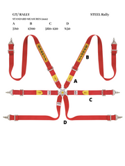 Sabelt Steel Rally 2x2 6-Point Harness